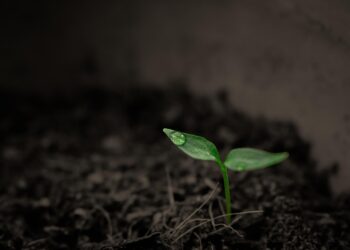 Cientistas estão tentando descobrir se a vida humana foi feita por alienígenas - Imagem: Pixabay