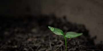 Cientistas estão tentando descobrir se a vida humana foi feita por alienígenas - Imagem: Pixabay