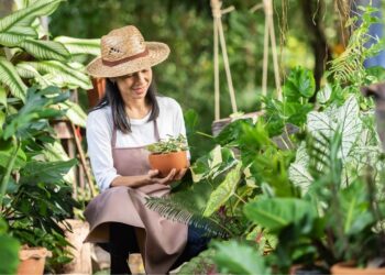 Inovações em paisagismo criam jardins inteligentes e funcionais