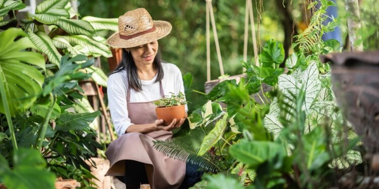 Inovações em paisagismo criam jardins inteligentes e funcionais
