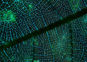 Tecnologia naturais criadas antes da humanidade que a ciência só descobre agora
