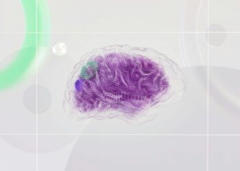 Estudo detecta mecanismo cerebral que regula dor e pode mudar tratamentos