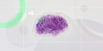 Estudo detecta mecanismo cerebral que regula dor e pode mudar tratamentos