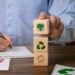 Nova modalidade de seguro protege ecossistemas inteiros; entenda