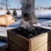 Saunas explodem como moda global do bem-estar