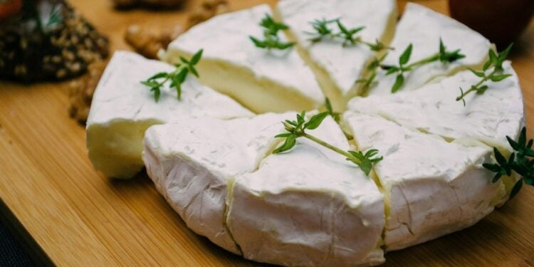 Queijo artesanal e turismo rural se unem para transformar regiões do Brasil