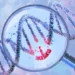CRISPR - Reprodução/iStock