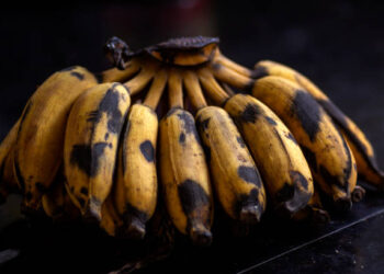 bananas