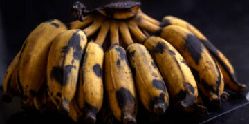 bananas