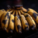 bananas