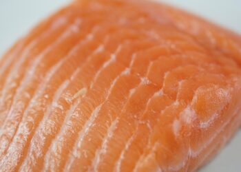 Salmão não é o mais saudável: esse peixe brasileiro tem menos gordura - Imagem: Pixabay