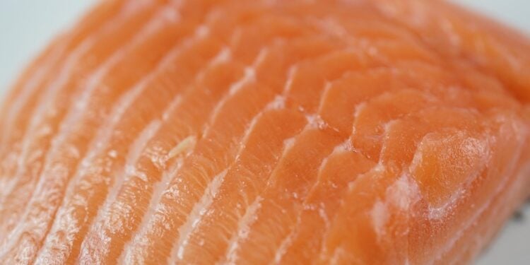 Salmão não é o mais saudável: esse peixe brasileiro tem menos gordura - Imagem: Pixabay