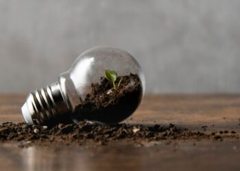 Protótipo feito por estudantes no Brasil transforma solo em energia elétrica