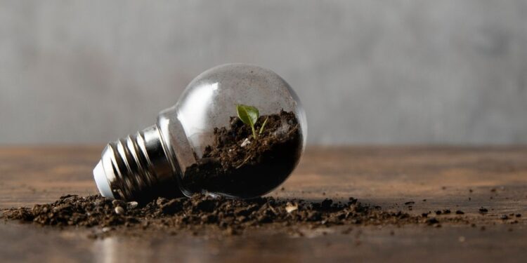 Protótipo feito por estudantes no Brasil transforma solo em energia elétrica