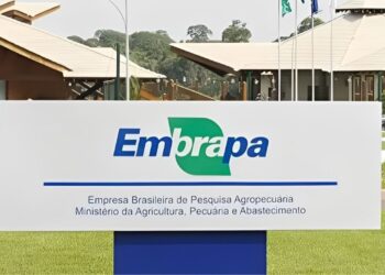 Estudo mostra que investimento na Embrapa rende 17 vezes o valor aplicado