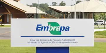 Estudo mostra que investimento na Embrapa rende 17 vezes o valor aplicado
