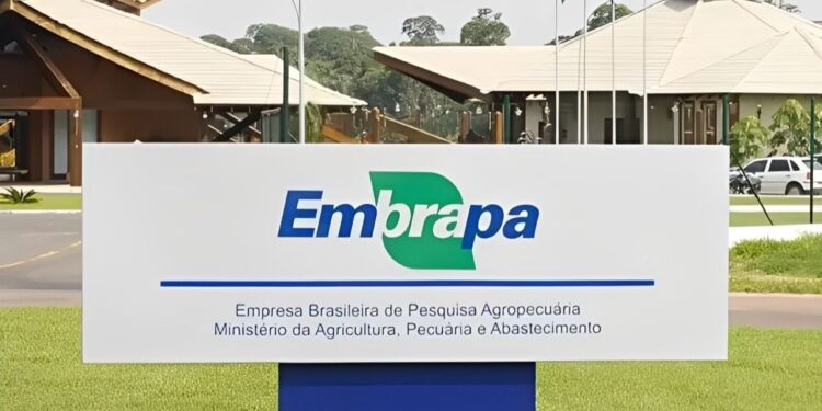 Estudo mostra que investimento na Embrapa rende 17 vezes o valor aplicado