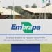 Estudo mostra que investimento na Embrapa rende 17 vezes o valor aplicado
