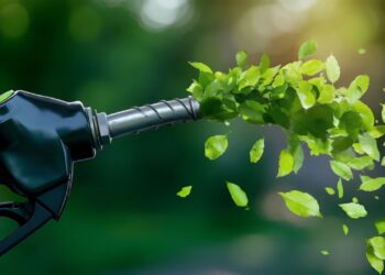 Estudo projeta salto histórico no consumo de biocombustíveis