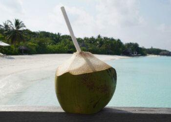 Nova tendência no verão aponta água de coco integral como opção nutritiva