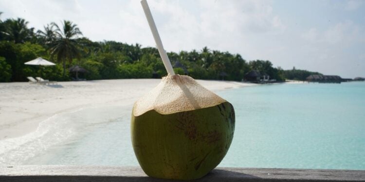 Nova tendência no verão aponta água de coco integral como opção nutritiva