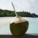 Nova tendência no verão aponta água de coco integral como opção nutritiva