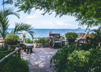 Dicas de como manter jardins bonitos e resistentes perto da praia