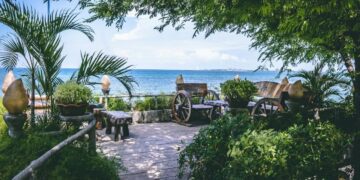 Dicas de como manter jardins bonitos e resistentes perto da praia
