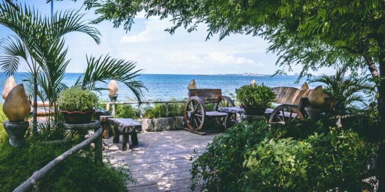 Dicas de como manter jardins bonitos e resistentes perto da praia