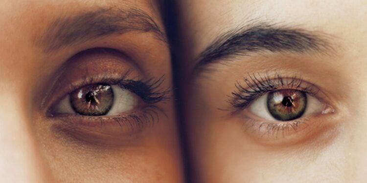 Foto: Soroush Karimi/Unsplash