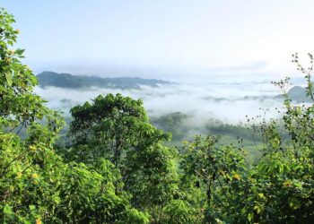 Amazônia tem mistérios surpreendentes nunca resolvidos antes - Imagem: Pixabay