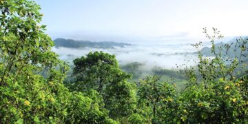 Amazônia tem mistérios surpreendentes nunca resolvidos antes - Imagem: Pixabay