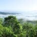 Amazônia tem mistérios surpreendentes nunca resolvidos antes - Imagem: Pixabay
