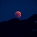 Lua de Sangue vai acontecer em breve, mas é o dia mais temido pela Bíblia - Imagem: Pixabay