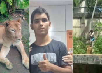 Quem é Vaqueirinho, jovem que pulou em jaula de leoa em João Pessoa - Imagem: Reprodução/Redes Sociais