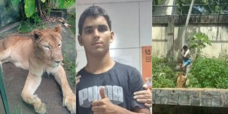 Quem é Vaqueirinho, jovem que pulou em jaula de leoa em João Pessoa - Imagem: Reprodução/Redes Sociais
