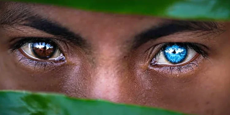 ilha misteriosa da tribo dos olhos azuis