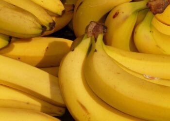 Bananas cultivadas em solo do desastre de Mariana possuem nível alto de toxinas - Imagem: Pixabay