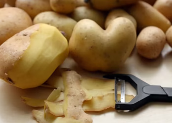 Batata - Reprodução/Unsplash