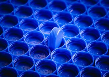 Você sabia que nem todos os biodegradáveis se decompõem? - Imagem: Pixabay
