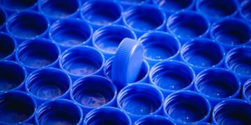 Você sabia que nem todos os biodegradáveis se decompõem? - Imagem: Pixabay