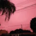 Céu rosa