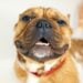 Foto: Anthony Duran/Unsplash