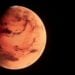 Foto: Planet Volumes/Unsplash