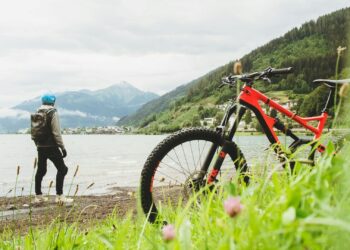Foto: Daniel Frank/Pexels