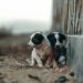Foto: zana pq/Unsplash