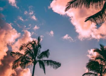 Foto: Roberto Nickson/Unsplash