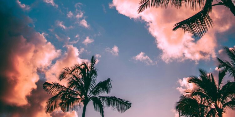 Foto: Roberto Nickson/Unsplash