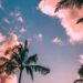 Foto: Roberto Nickson/Unsplash