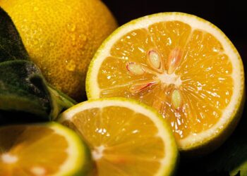Quer doce rápido e refrescante? Confira esta receita de limão italiano simples - Imagem: Pixabay